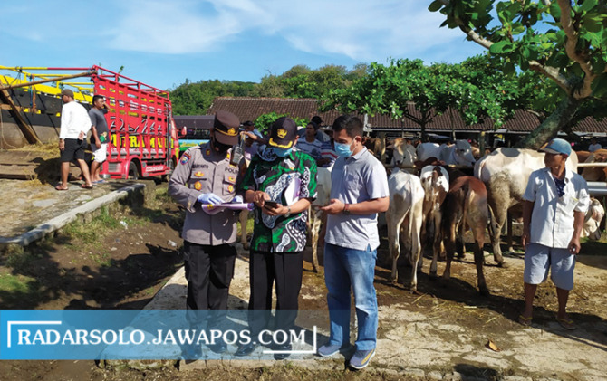 DIDATA: Pemeriksaan ternak di Pasar Hewan Karanggede, Boyolali, beberapa waktu lalu. (RAGIL LISTIYO/RADAR SOLO)