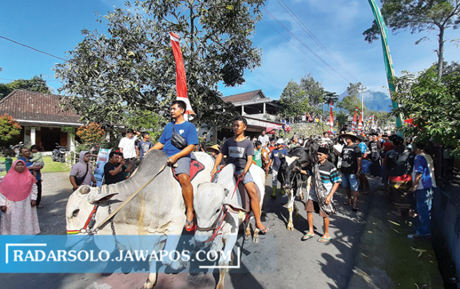 TURUN-TEMURUN: Warga Mlambong, Desa Sruni, Kecamatan Musuk, Boyolali mengarak sapi keliling desa di bakdo sapi Senin (9/5). (RAGIL LISTIYO/RADAR SOLO)