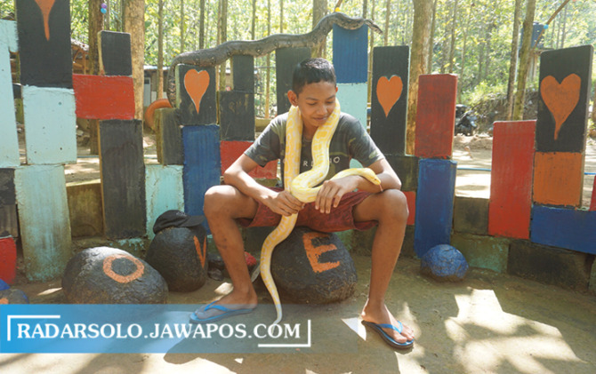 MINI ZOO: Aneka koleksi satwa di Cemoro Sewu, Desa Banyuripan, Kecamatan Bayat. (ANGGA PURENDA/RADAR SOLO)