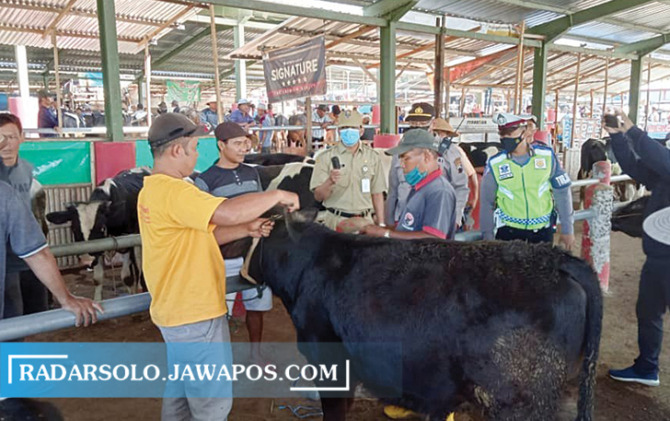 LESU: Jelang Idul Adha, penjualan sapi di Pasar Hewan Jelok merosot. (RAGIL LISTIYO/RADAR SOLO)