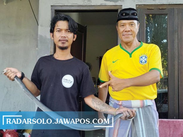 BUTUH KETERAMPILAN: Relawan mengevakuasi ular kobra di Perumahan Taman Santosa, Desa Ngargorejo, Kecamatan Ngemplak, Senin (30/5).  (RAGIL LISTIYO/RADAR SOLO)