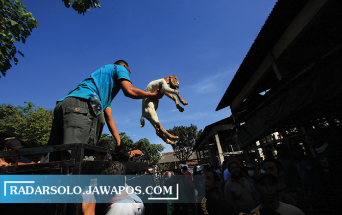 LAGI DIUJI: Aktivitas di pasar hewan belum lama ini. Kabupaten/kota di eks Karesidenan Surakarta menunggu kiriman vaksin PMK dari pusat. (ARIEF BUDIMAN/RADAR SOLO)