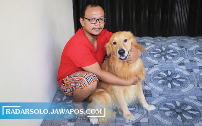 KESAYANGAN: Anjing jenis golden retriever cocok dipelihara pemula karena mudah patuh. (ARIEF BUDIMAN/RADAR SOLO)
