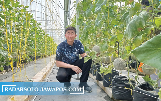 POTENSIAL: Melon Jepang mulai dikembangkan oleh Musa Hartono. (SEPTINA FADYA/RADAR SOLO)
