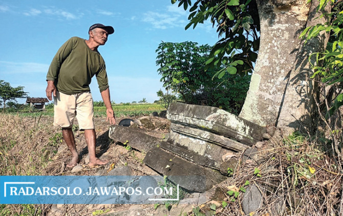 TERONGGOK: Kondisi yoni yang berada di persawahan Desa Tlawong, Sawit, Boyolali, Rabu (22/6). (RAGIL LISTIYO/RADAR SOLO)