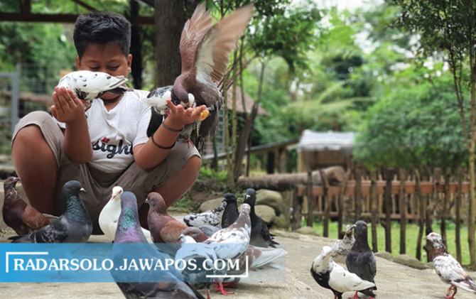 BEBAS BERINTERAKSI: Mini zoo di Taman Satwa Kemuning, Ngargoyoso cocok untuk wisata edukasi anak. Ada banyak satwa yang bisa lihat. (RUDI HARTONO/RADAR SOLO)