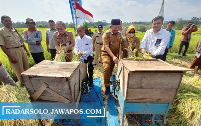 POTENSIAL: Wakil Bupati Karanganyar Rober Christanto bersama Kepala Dinas Pertanian dan Perkebunan Jawa Tengah Supriyanto panen raya padi organik di Desa Gentungan, Mojogedang, kemarin (20/6). (RUDI HARTONO/RADAR SOLO)