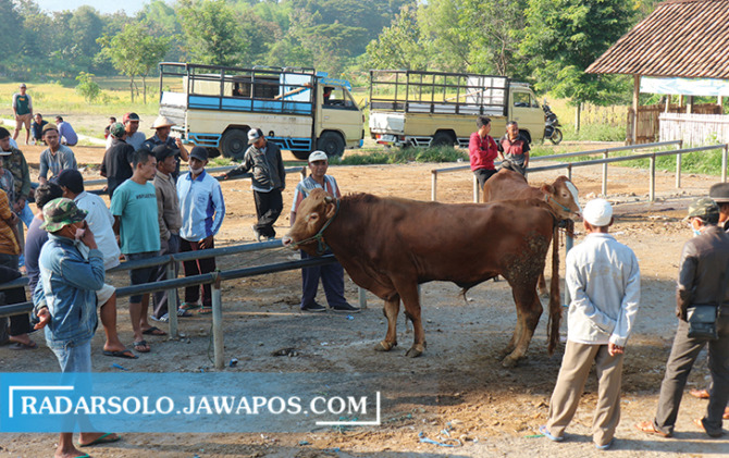 BERGELIAT LAGI: Aktivitas pedagang di Pasar Hewan Purwantoro, Selasa (21/6). Perdagangan sapi belum pulih, sedangkan kambing relatif lebih ramai. (IWAN ADI LUHUNG/RADAR SOLO)