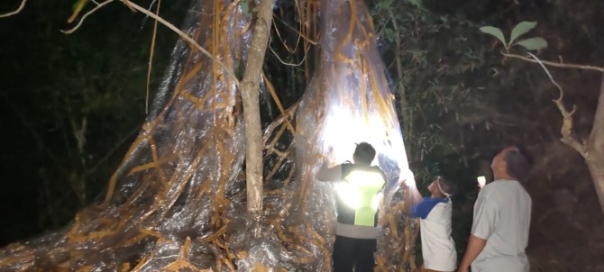 BERBAHAYA: Balon udara dan petasan yang ditemukan di ladang milik warga Dusun Ngudal RT 01 RW 08, Desa Platarejo, Kecamatan Giriwoyo, Minggu (17/7). (ISTIMEWA)