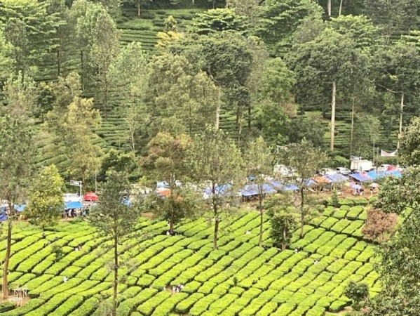 Kawasan Puncak, Bogor, Jawa Barat diserbu pengunjung saat libur long weekend. (Istimewa)