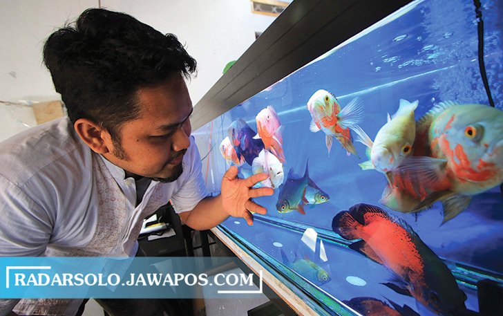 BIKIN BAHAGIA: Beragam jenis oscar koleksi Eko Agus Haryono, warga Cemani, Grogol, Sukoharjo. (ARIEF BUDIMAN/RADAR SOLO)