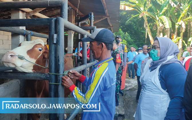 DIKEBUT: Bupati Sragen Kusdinar Untung Yuni Sukowati pimpin vaksinasi hewan ternak untuk cegah PMK di Plupuh, Minggu (3/7). (AHMAD KHAIRUDIN/RADAR SOLO)