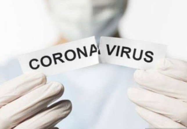 Ilustrasi virus Covid-19. (Antara)