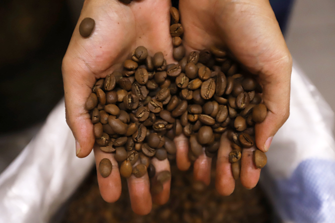 Ilustrasi biji kopi. (Dery Ridwansah/JawaPos.com)