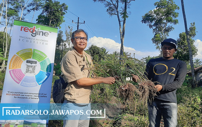 SINERGI: Penyaluran bantuan bibit jahe merah ke petani Urutsewu, Ampel, kemarin. (RAGIL LISTIYO/RADAR SOLO)