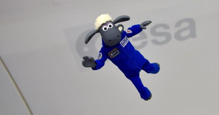 Boneka karakter Shaun the Sheep bakal dibawa ke bulan dalam misi Artemis 1 (Switzerland Detail Zero)