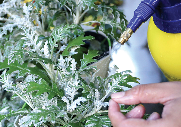 SILVER DUST (ALFIAN RIZAL/JAWA POS)