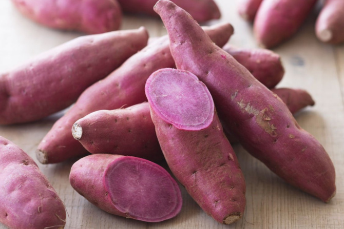 Ilustrasi: Ubi ungu (Istimewa)