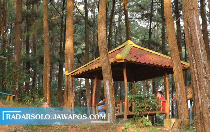 SEJUK: Suasana Hutan Pinus Amora di Kecamatan Wuryantoro, kemarin (3/9). Tak dipungut tiket masuk untuk menikmati keasrian. (IWAN ADI LUHUNG/RADAR SOLO)