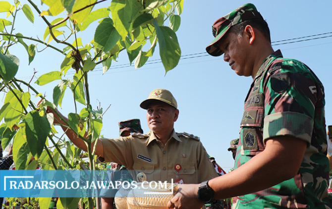 PERDANA: Danrem 074/Warastratama Kolonel Inf Achiruddin bersama Wabup Wonogiri Setyo Sukarno panen kacang sacha inchi di kawasan WGM, kemarin (13/9). (IWAN ADI LUHUNG/RADAR SOLO)