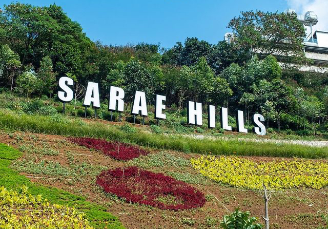 Sarae Hills. (Instagram: sarae.hills)