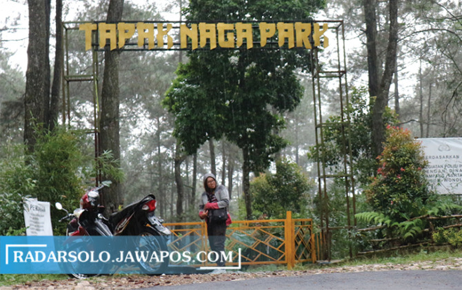 MENJANJIKAN: Akses utama hutan pinus Tapak Naga di Desa/Kecamatan Karangtengah. (IWAN ADI LUHUNG/RADAR SOLO)