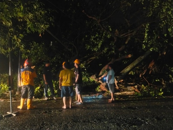 WASPADA: BPBD Sragen bersama warga mengevakuasi pohon tumbang yang melintang di jalan Sragen, Rabu (19/10) malam. (AHMAD KHAIRUDIN/RADAR SOLO)