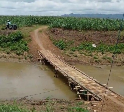 PANGKAS JARAK: Kondisi jembatan sesek di Desa Glesungrejo, Kecamatan Baturetno, Rabu (12/10). (KADES GLESUNGREJO FOR RADAR SOLO)