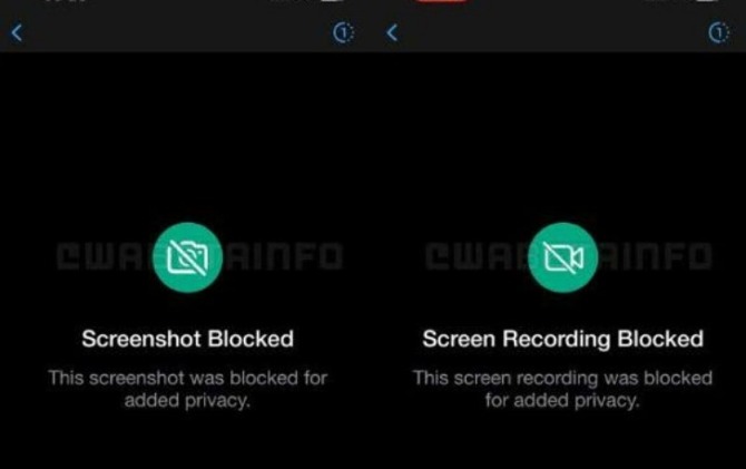 Fitur baru WhatsApp, percakapan sekali lihat dan tidak bisa screenshot. (WABetaInfo)
