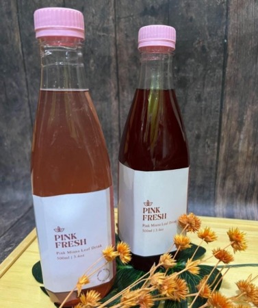 MENGANDUNG ANTIOKSIDAN: Pink Fresh selain menyegarkan, juga menyehatkan karena diklaim mampu meningkatkan imunitas tubuh. (DOK. PRIBADI)