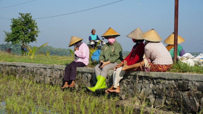 INTERAKSI: Anggota DPR RI Komisi IV Luluk Nur Hamidah (dua dari kiri) berinteraksi dengan sejumlah petani perempuan di Sragen, kemarin. Dalam peringatan Hari Pangan Sedunia, besar peran perempuan dalam memajukan kestabilan pangan. (AHMAD KHAIRUDIN/RADAR S
