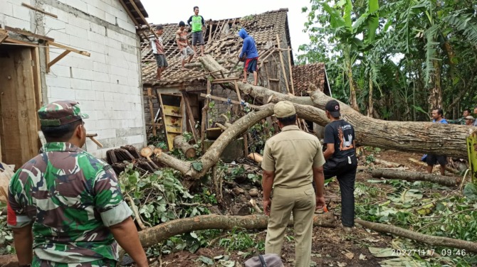 PASRAH: Pohon tumbang di Dusun Kemiri RT 02 RW 03, Desa Ngablak, Wonosegoro. (BPBD BOYOLALI FOR RADAR SOLO)