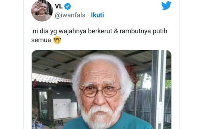 Musisi legendaris Iwan Fals ikut bikin meme soal sosok pemimpin pilihan Jokowi yang berambut putih dan kulit berkerut. (Istimewa)