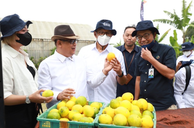 BERI PERHATIAN: Komisaris dan direksi Pupuk Indonesia mengunjungi Kelompok Master Lemon, kelompok petani lemon di Desa Cikahuripan, Kecamatan Lembang, Kabupaten Bandung Barat. (DOK. PUPUK KUJANG)