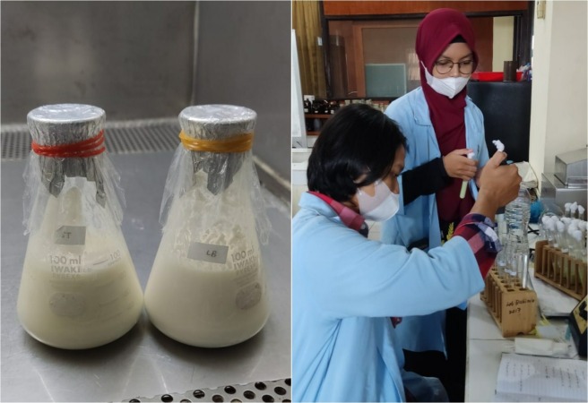 MENYEHATKAN: Yoghurt dari ekstrak biji ketapang kreasi mahasiswa Unisri Surakarta. Foto kanan, pengujian khasiat biji ketapang oleh mahasiswa di laboratorium kampus setempat. (UTP FOR RASO)