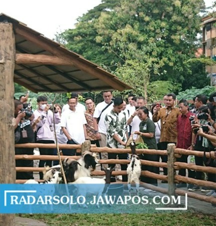 LEBIH CANTIK: Wali Kota Gibran Rakabuming Raka dan rombongan melihat koleksi satwa Solo Safari di hari pertama dibuka untuk umum Jumat (27/1/2023). (IPUT NESIA/RADAR SOLO)