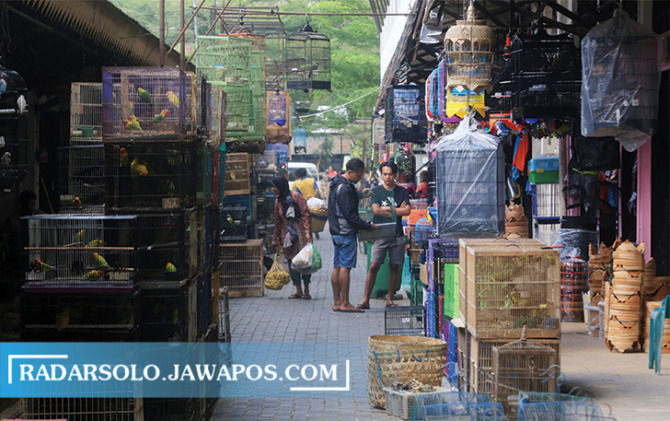 SIAP DITATA: Para pembeli tengah melihat berbagai burung yang dijual di Pasar Burung dan Ikan Hias Depok. (DOK. DAMIANUS BRAM/RADAR SOLO)