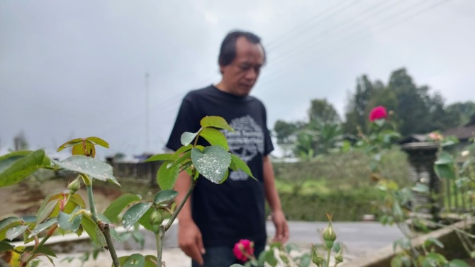 Hujan abu vulkanis terlihat jelas di dedaunan kawasan Kecamatan Musuk, Kabupaten Boyolali, Rabu (8/2/2023). Aktivitas masyarakat tetap berlangsung seperti biasa. (RAGIL LISTIYO)