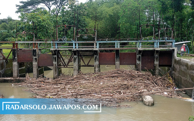 PICU BANJIR: Kondisi Bendungan Siluwur di Desa Tegalsari, Kecamatan Weru yang dipenuhi sampah akar dan batang bambu, kemarin (5/2/2023). (IWAN KAWUL/RADAR SOLO)