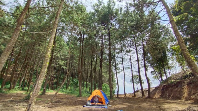 ASRI: Tempat camping dengan suasana pohon pinus di bukit Toyo Aring, Desa Wonorejo, Kecamatan Jatiyoso, Kabupaten Karanganyar. (LESTARI NUR HANDAYANI/RADAR SOLO)
