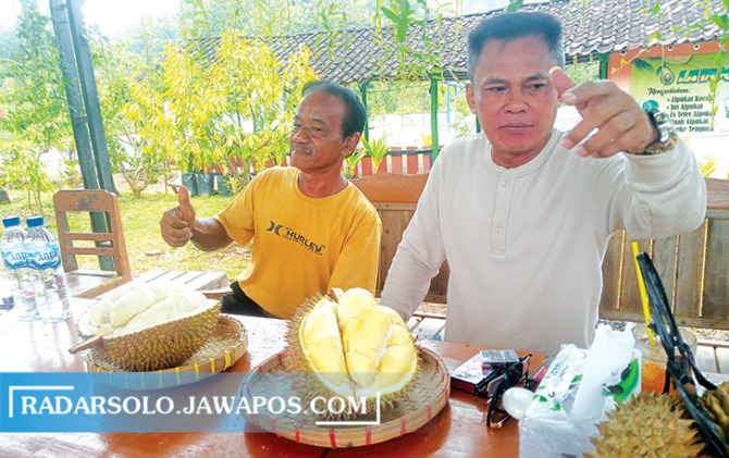POTENSIAL: Kepala Dinas Pertanian dan Perikanan Kabupaten Sukoharjo Bagas Windaryatno tunjukan durian yang ditanam oleh petani durian Desa Sanggang, Kecamatan Bulu, kemarin. (IWAN KAWUL/RADAR SOLO)
