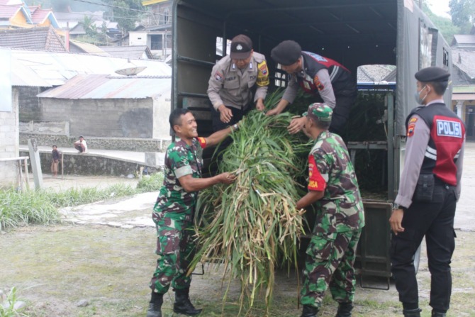 Unsur TNI-Polri mengirimkan bantuan pakan ternak untuk warga Desa Tlogolele, Kecamatan Selo, Kabupaten Boyolali belum lama ini.
