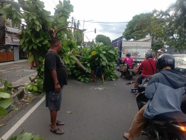 Evakuasi dahan pohon yang patah di Jalan Ahmad Yani, Wonogiri Kota, Selasa (7/3/2023). (IWAN ADI LUHUNG/RADAR SOLO)