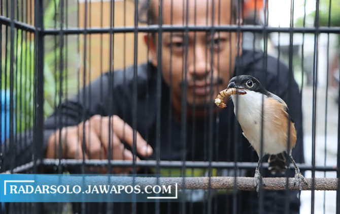 PENUH PERHATIAN: Rinto merawat burung cendet kesayangannya dengan rutin memandikan dan menjemur. Kebersihan kandang tak pernah terlewat. (M. IHSAN/RADAR SOLO)