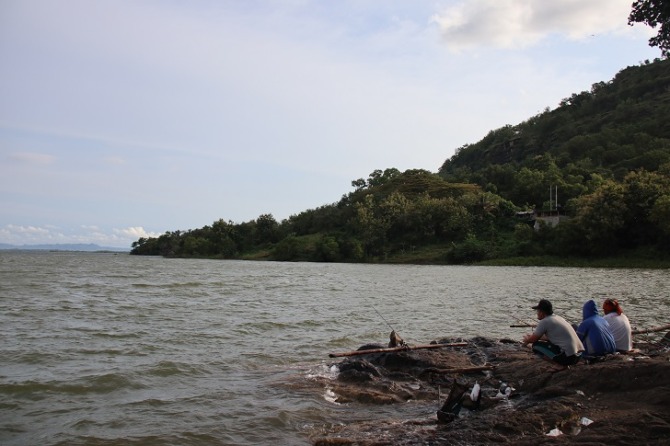 Pemancing di perairan Waduk Gajah Mungkur kerap mendapatkan red devil. Populasi ikan predator ini disebut-sebut semakin pesat.IWAN ADI LUHUNG/RADAR SOLO