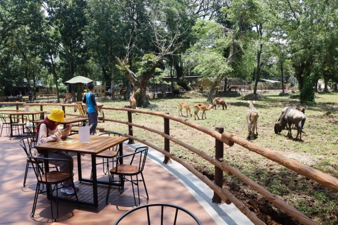 Solo Safari Zoo jadi objek wisata baru di Kota Solo. (M. IHSAN/RADAR SOLO)