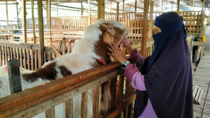Siti menunjukkan domba awassi di peternakannya belum lama ini. (IWAN ADI LUHUNG/RADAR SOLO)
