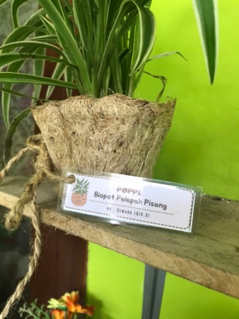 GO GREEN: Biopot dari bahan dasar pelepah pisang yang ramah lingkungan. (DOK. PRIBADI)