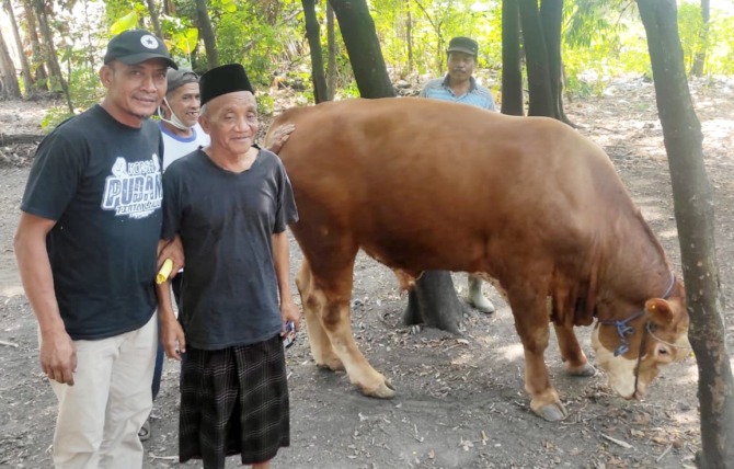 SEMRINGAH: Suparno (dua dari kiri) menunjukkan sapi miliknya yang dibeli Presiden Joko Widodo. (RUDI HARTONO/RADAR SOLO)