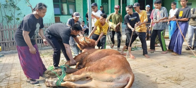 DIANTISIPASI: Dinas Pertanian Dan Perikanan Kabupaten Sukoharjo masih menemukan cacing hati pada hewan kurban, kemarin. (IWAN KAWUL/RADAR SOLO)